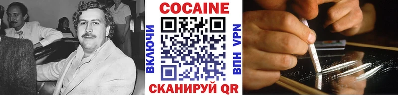 Cocaine FishScale  Новосиль 