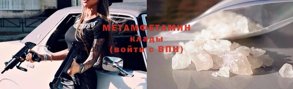 прущие грибы Дмитров