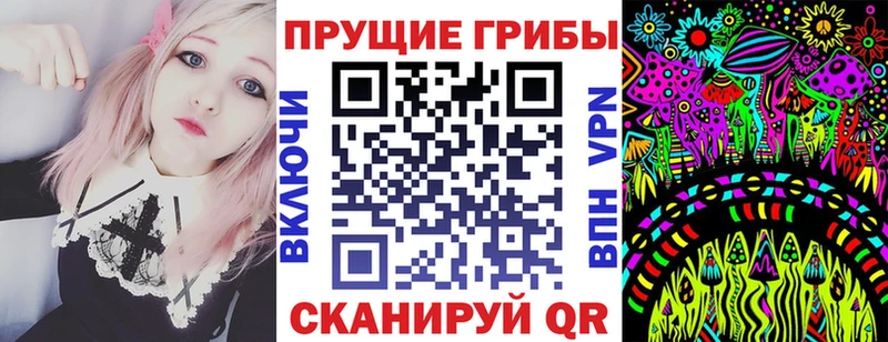 Псилоцибиновые грибы Magic Shrooms  где продают   Новосиль 